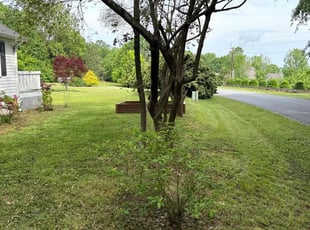 Sharon C.'s Lawn Service service result