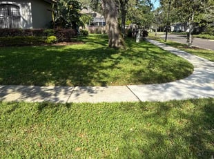Hammad T.'s Lawn Maintenance service result