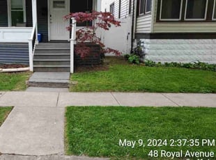 Affordable R.'s Lawn Mowing service result
