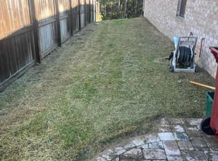 ricky y.'s Lawn Mowing service result