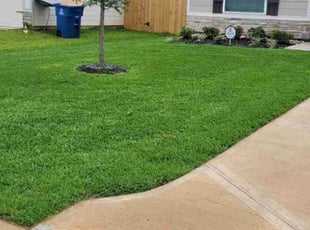 Tina H.'s Lawn Mowing service result