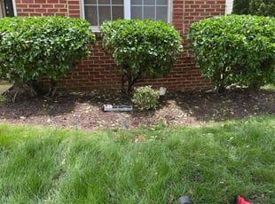 Bonita J.'s Bush Trimming service result