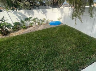 Argie G.'s Yard Cutting service result