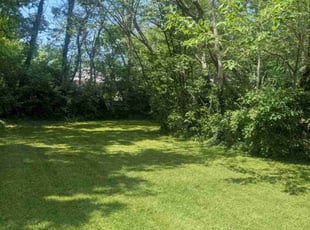 Lloyd F.'s Lawn Care service result