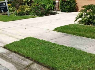 Beth b.'s Lawn Mowing service result