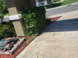 Bush Trimming by Juan Rodriguez for Kenneth T. in Sacramento, CA