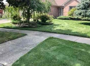 Meredith W.'s Yard Cutting service result