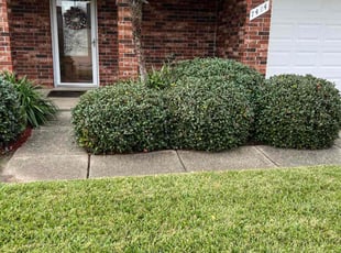 Tia R.'s Lawn Maintenance service result