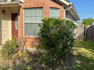 Bush Trimming by Jason Bernal for Kim B. in Manor, TX