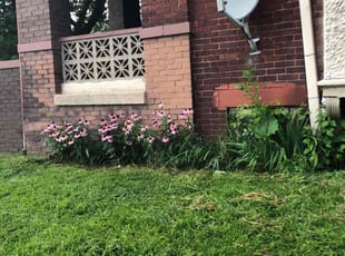 Weeding by Dontrell Hood for Levi H. in Milwaukee, WI