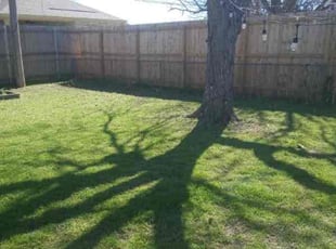 Patricia C.'s Yard Cutting service result