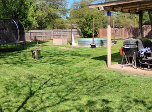 Pat D.'s Grass Cutting service result