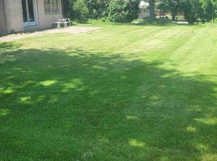 Jon B.'s Yard Cutting service result