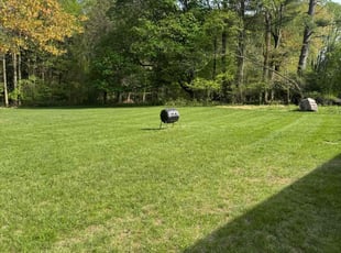 Patricia T.'s Lawn Care service result