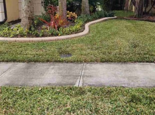 KENNETH N.'s Lawn Mowing service result