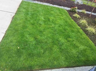 Ann G.'s Lawn Care service result