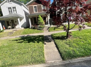 Destiny W.'s Lawn Service service result