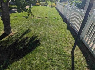 Danielle F.'s Lawn Care service result