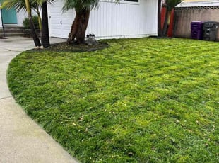 James G.'s Lawn Service service result