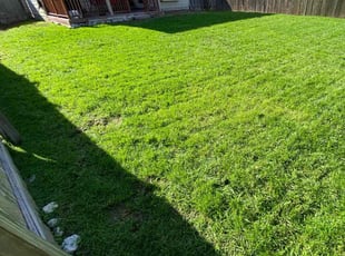 Jennifer C.'s Lawn Maintenance service result