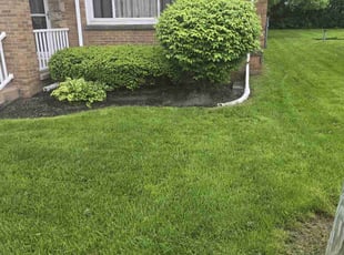 Katherine G.'s Lawn Service service result