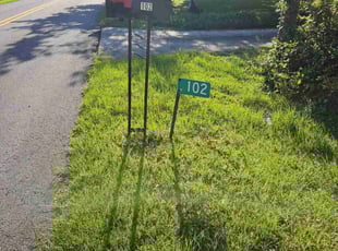 Casβja D.'s Lawn Service service result