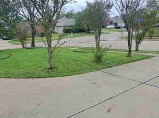 Laura B.'s Lawn Care service result