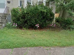 Cleanups by Carl Roberts for Frances S. in Ridgewood, NJ