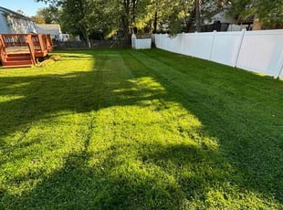 Nelson S.'s Lawn Service service result