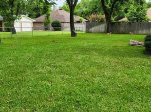 Lauren B.'s Lawn Service service result