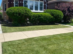 Walter A.'s Lawn Care service result