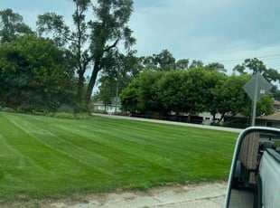 Norraine L.'s Lawn Care service result