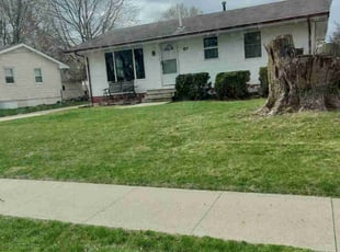 Joyce H.'s Yard Cutting service result