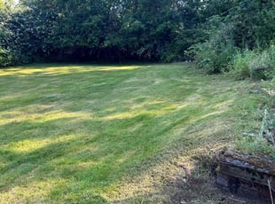 Fred B.'s Lawn Care service result