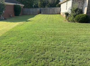 Patrick S.'s Lawn Mowing service result