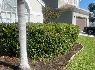 Weeding by Charles Walton for Zan R. in Boynton Beach, FL