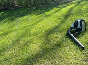 Burt S.'s Lawn Mowing Service service result