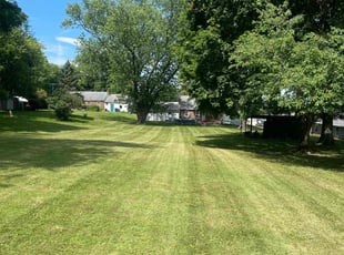 Sandra R.'s Lawn Mowing Service service result