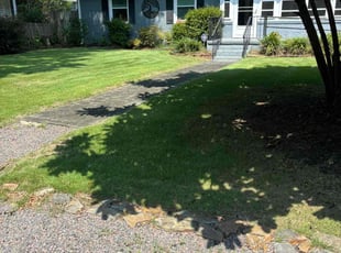 Andrei B.'s Lawn Maintenance service result