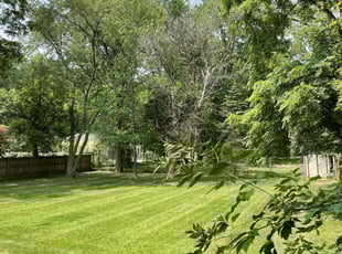 Mele K.'s Lawn Mowing service result