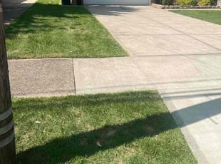 Curtis G.'s Lawn Service service result