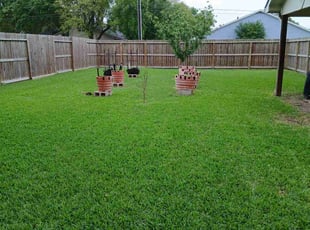 steve t.'s Lawn Care service result