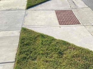 Katherine C.'s Grass Cutting service result