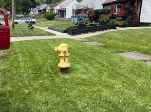 Tangela R.'s Lawn Mowing service result