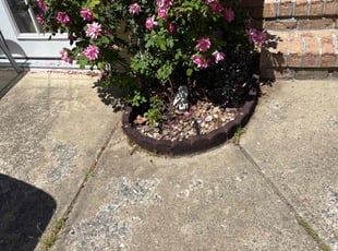 Weeding by Stephen Breece for Jesenia C. in Chesapeake, VA