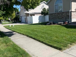 Lisa B.'s Lawn Maintenance service result