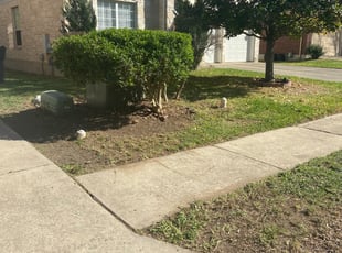 Bush Trimming by Kevin Barnfield for Lesley M. in Round Rock, TX