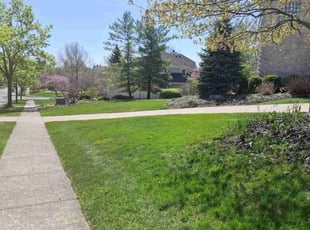 Philip M.'s Lawn Service service result