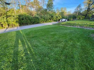 Rebecca P.'s Lawn Mowing Service service result