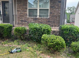 Bush Trimming by John Koonce for Pradeep R. in Greer, SC